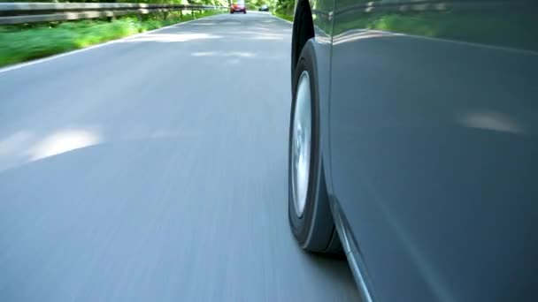 Conducir Por Una Carretera Campo Través Del Bosque Vista Bajo — Vídeos de Stock