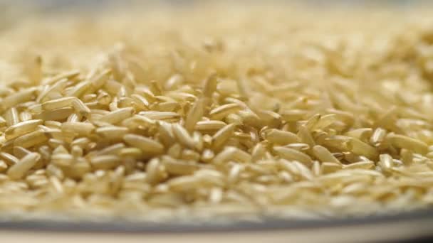 Grains Riz Brun Tombant Gros Plan Ralenti — Video