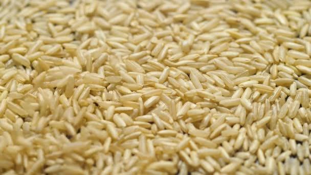 Kahverengi Pirinç Taneleri Düşüyor Yakın Çekim Yavaş Çekim — Stok video