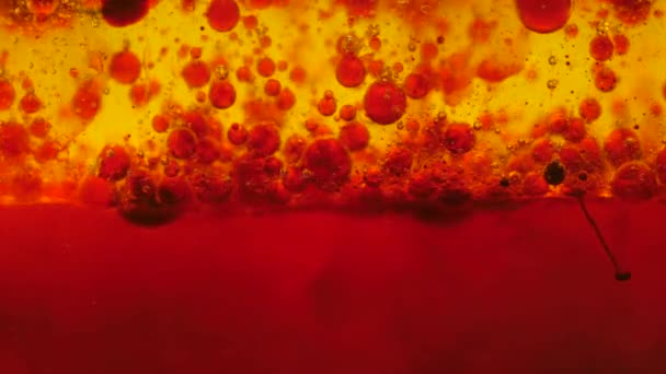 Gotas Vermelhas Salpicando Óleo Água — Vídeo de Stock