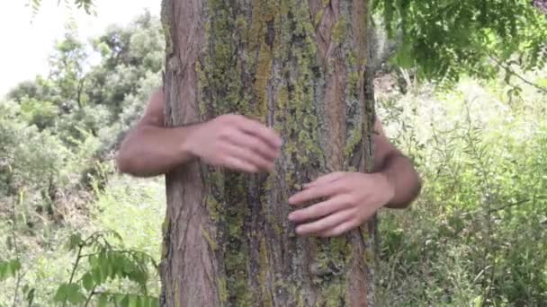 Arme Umarmen Einen Baumstamm Wald — Stockvideo