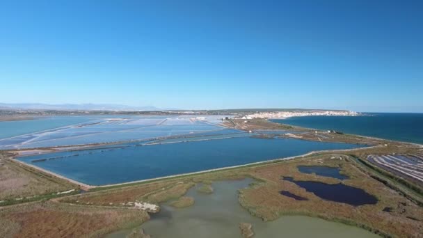 Flamingo Sobre Lago Salgado Drone Voador Sobre Lago Salgado Espanha — Vídeo de Stock