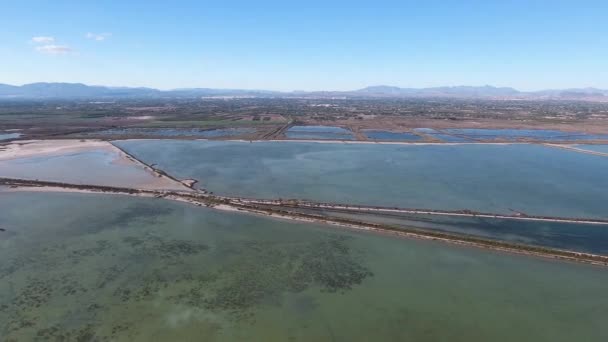 Flamingo Över Saltsjön Flygande Drönare Över Salt Lake Spanien Nära — Stockvideo