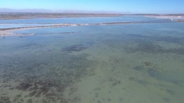 Flamingo Tuz Gölü üzerinde. Şehir Torrevieja yakınındaki bir Tuz Gölü-İspanya üzerinde casus uçak uçan. Flamingo içinde belgili tanımlık vahşi. Ekim 2017