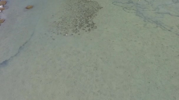 Фламінго Над Солоного Озера Drone Летить Над Солоне Озеро Іспанії — стокове відео