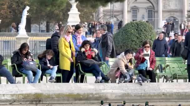 Listopada 2017 Starej Architektury Paryża Ludzi Karmić Gołębie Przy Fontannie — Wideo stockowe