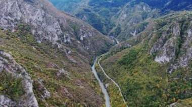 Nehrin Tara Karadağ ile bir bird's-eye Kanyonu. Dron yol boyunca dağlar ve Nehri arasında uçuyor. Beyaz taştan kayalarla çevrili iki yanda ağaçları ile büyümüş. Dağ nehir türbülanslı akım akar. Dzhurdzhevich Köprüsü