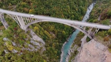 Nehrin Tara Karadağ ile bir bird's-eye Kanyonu. Dron yol boyunca dağlar ve Nehri arasında uçuyor. Beyaz taştan kayalarla çevrili iki yanda ağaçları ile büyümüş. Dağ nehir türbülanslı akım akar. Dzhurdzhevich Köprüsü