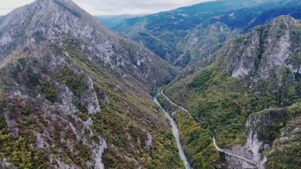 Canyon River Tara Montenegro Bird Eye Drone Flies Mountains Road — Stock Video