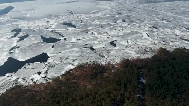 鳥の目のビューからドニエプル川の航空写真 チェルカースィ地域 Kanev の街の近くです 海岸に沿って 氷を分割育つ針葉樹林 — ストック動画