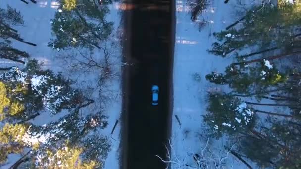 Зимний Лес Дорога Снегу Высоты Птичьего Полета Беспилотник Снимает Высоты — стоковое видео