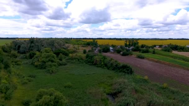 鳥の目と湖のウクライナの村 湖の上をドローンが飛び 近くには村の民家があります 曇りの天気 — ストック動画