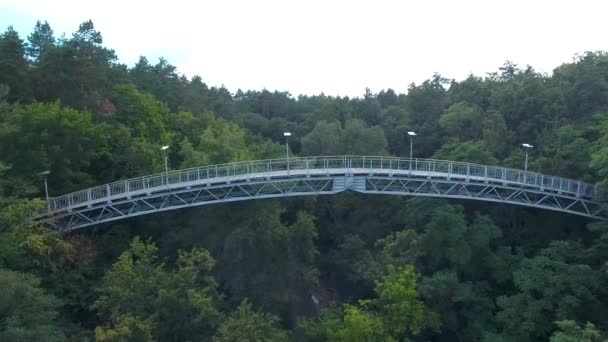 Pont Amour Une Vue Oiseau Dans Ville Tcherkasy Drone Vole — Video