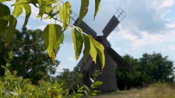 Oude Houten Molen Het Bos Aan Weg Oekraïne Een Kleine — Stockvideo