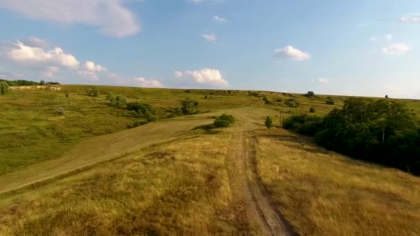 Des Prairies Avec Des Collines Une Forêt Avec Une Vue — Video