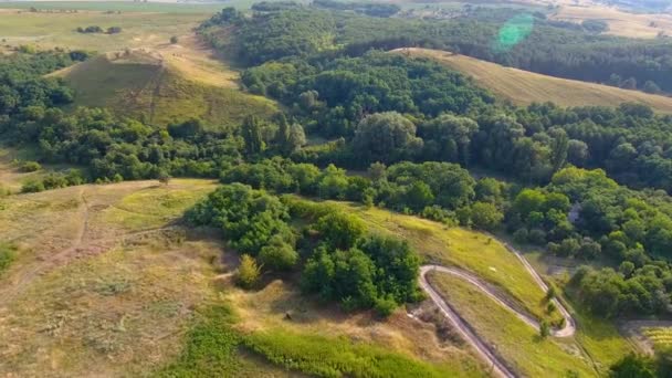 Prados Com Colinas Floresta Com Vista Panorâmica Drone Voa Sobre — Vídeo de Stock