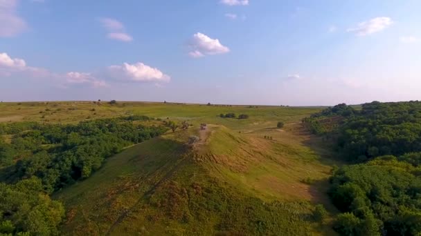 Wiesen Mit Hügeln Und Wald Aus Der Vogelperspektive Drohne Fliegt — Stockvideo