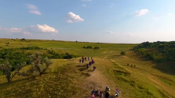 Weiden Met Heuvels Bos Met Een Vogel Zicht Drone Vliegt — Stockvideo