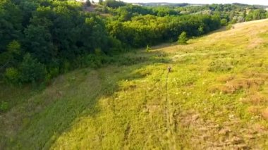 Tepeleri ve kuş bakışı ormanı olan çayırlar. Drone Ukrayna'nın güzel yerleri üzerinde uçar. Bisikletçiler tepelere binmek.
