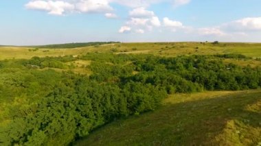 Tepeleri ve kuş bakışı ormanı olan çayırlar. Drone Ukrayna güzel yerler üzerinde uçar.