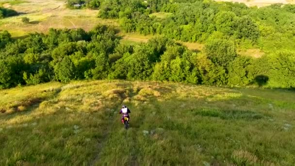 Łąki Wzgórzami Lasem Widokiem Oko Ptaków Dron Leci Nad Pięknymi — Wideo stockowe