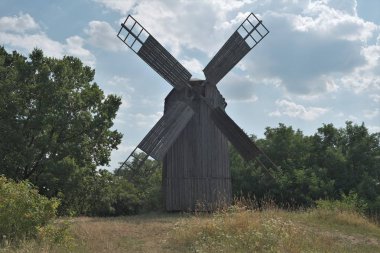 Ormandaki eski ahşap değirmen. Kozalaklı ormanın kenarındaki değirmen. Alan otu ve çiçeklerle büyümüş.