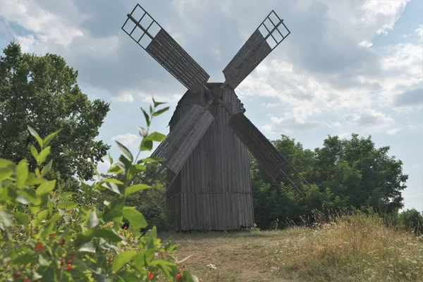 Old wooden mill in the forest. Mill at the edge of coniferous forest. Overgrown with field grass and flowers.