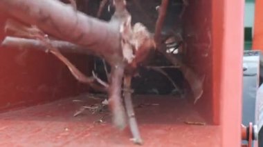 Kalın dalları kesen otomatik bir helikopter. Nakliye araçlarına otomatik malzeme sağlayan Crusher dalları. Yavaş çekim.