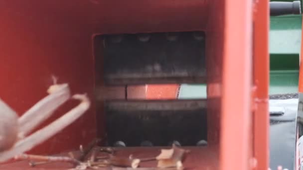 自动切割机切割粗枝 具有自动向货运车辆输送物料的破碎机分公司 慢动作 — 图库视频影像