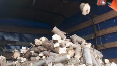 Kalın dalları kesen otomatik bir helikopter. Nakliye araçlarına otomatik malzeme sağlayan Crusher dalları. Yavaş çekim.