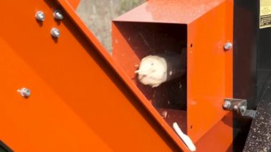 Kalın dalları kesen otomatik bir helikopter. Nakliye araçlarına otomatik malzeme sağlayan Crusher dalları. Yavaş çekim.