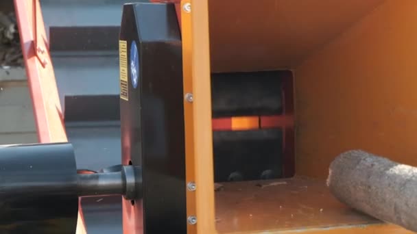 Automatisches Häckseln Dicker Äste Brecher Äste Mit Automatischer Materialzuführung Lastkraftwagen — Stockvideo