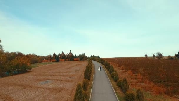 Bruid Bruidegom Lopen Langs Het Pad Een Drone Neemt Een — Stockvideo