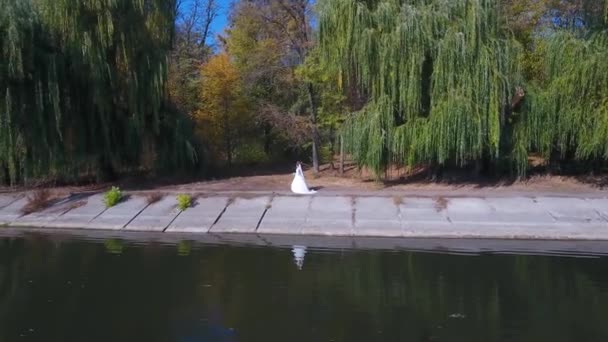 我们在湖边新婚燕尔 在秋树的背景下 一架无人驾驶飞机在湖边向一对年轻的恋人开枪 — 图库视频影像