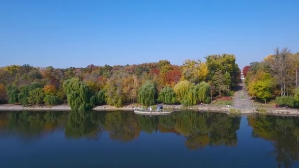 Frischvermählte Herbst See Eine Drohne Erschießt Ein Junges Liebespaar Der — Stockvideo