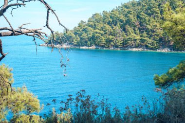 Mavi turkuaz denizdeki güzel manzara thassos adasındaki ağaçların tepesinden başlayıp mermer plajın yakınına kadar uzanır.