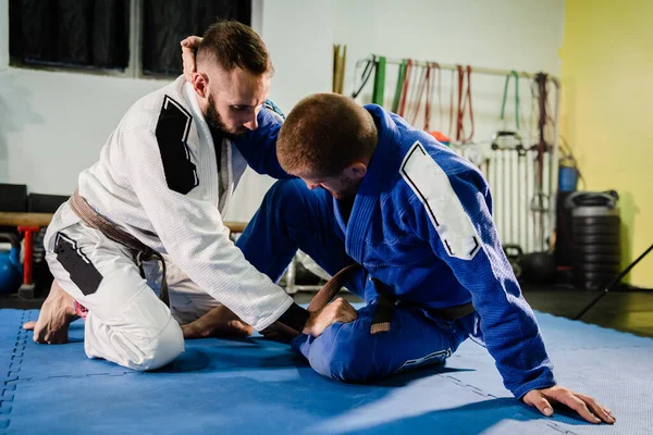 Brezilyalı Jiu Jitsu BJJ dövüş sanatları eğitimi. Akademide iki dövüşçü kelebek pozisyonu almış. Gi kimonosuyla talim teknikleri öğreniyorlar.