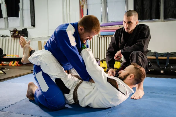Brezilyalı JIu Jitsu BJJ dövüş sanatları akademisi özel ders profesörü. Öğrencileriyle birlikte kimono gi 'de siyah ve kahverengi kemer eğitimi alıyor.