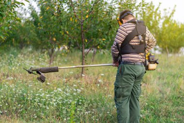 Genç çiftçi bahçıvan meyve bahçesi erik tarlasında çim biçer.