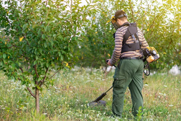 トリマーガソリンブラシカッターを使用して果樹園梅のプランテーションで草雑草を切断若い農家の庭師 — ストック写真