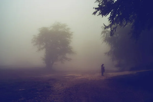 一本の木だけで水平線に2つのシルエットで山の範囲霧霧の雨の日 — ストック写真