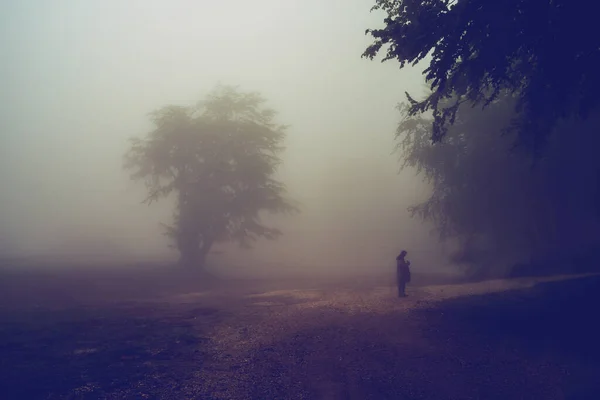 Ein Baum Allein Horizont Mit Zwei Silhouetten Auf Einer Bergkette — Stockfoto