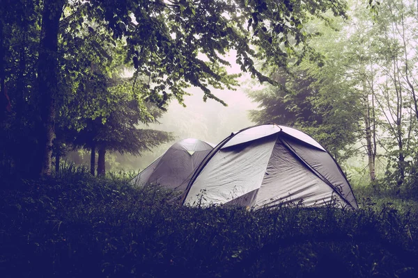 Camping in the nature, tents in the mountain range in a misty fog rainy day