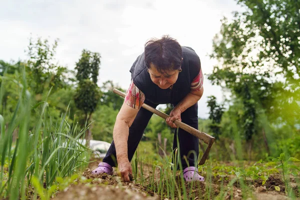 Full Längd Seniorkaukasiska Kvinna Som Arbetar Fältet Sommaren Kvinnlig Pensionär — Stockfoto