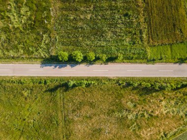 Gökyüzü manzarası yukarıdan aşağıya dağ sırasındaki dağ yolunda yeşil çimenler ve etraftaki ağaçlar arasında - Sırbistan 'daki Stara Planina Eski Dağı' nda doğa yolculuğu konsept drone fotoğrafı