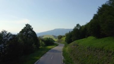 Dağ sırasındaki dağ yolunda yukarıdan bakıldığında yeşil çimenler ve etraftaki ağaçlar arasında hava manzarası - Sırbistan 'daki Stara Planina Eski Dağı' nda kırsal doğa seyahati konsepti drone fotoğrafı