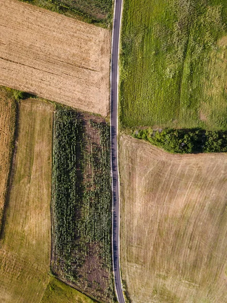 Aerial view top down drone photo agricultural field road - rural countryside crops organized different shape patterns single line asphalt and trees - simplicity freedom sustainable lifestyle concept