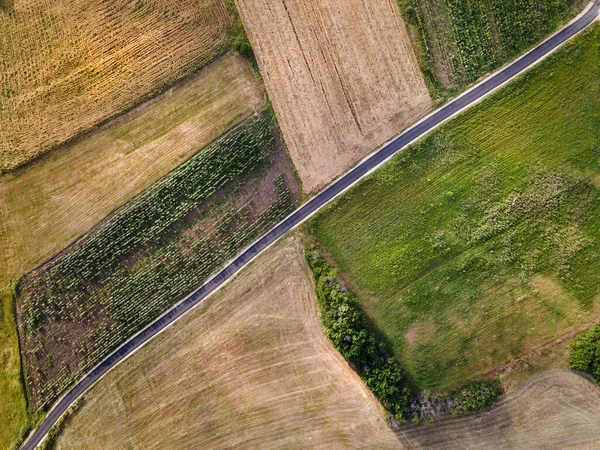 Vista Aérea Arriba Hacia Abajo Drone Foto Campo Agrícola Carretera — Foto de Stock