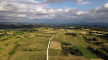 Hava aracı video tarımsal alanlar ve yol - kırsal bölgeler farklı şekillerde şekillendirilmiş ürünler tek sıra asfalt ve ağaçlar - basitlik özgürlüğü sürdürülebilir yaşam tarzı kavramı