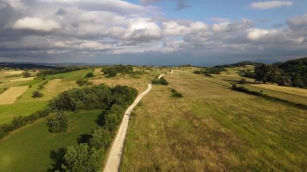 Letecký Pohled Drone Video Zemědělská Pole Silnice Venkovské Venkovské Plodiny — Stock video